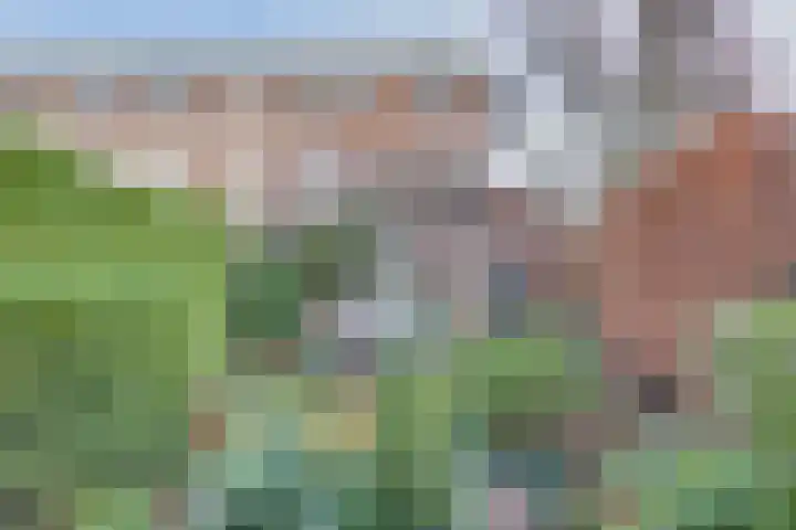 Leenweer 13 Sliedrecht thumbnail 26