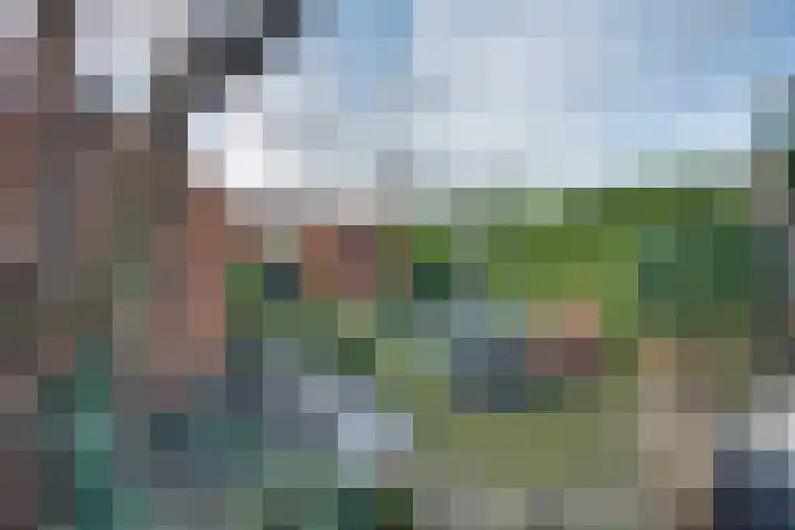 Leenweer 13 Sliedrecht thumbnail 27