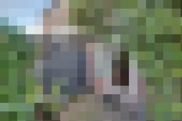 Leenweer 13 Sliedrecht thumbnail 28