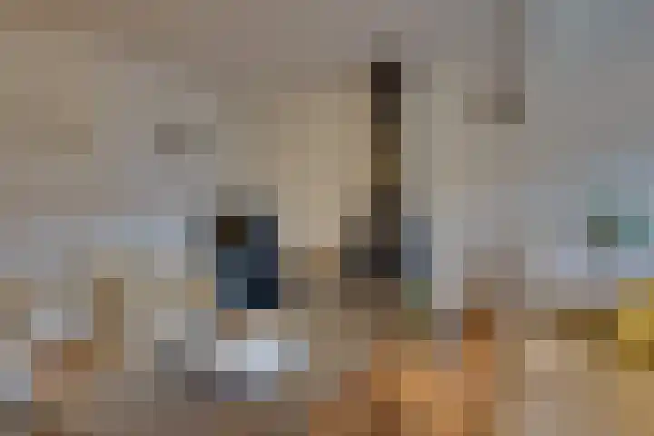 Leenweer 13 Sliedrecht thumbnail 9