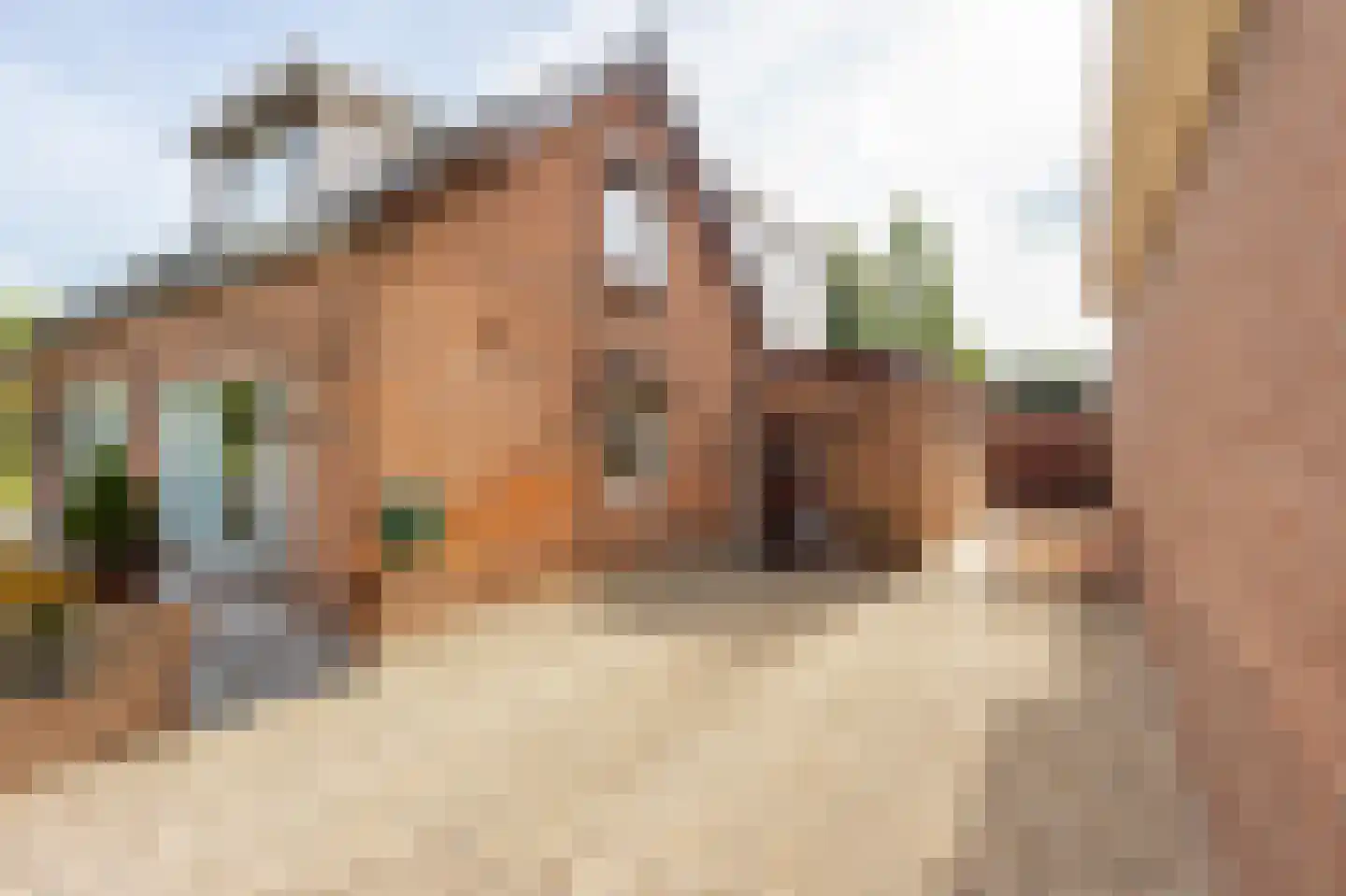 Leerbroekseweg 15 Leerbroek thumbnail 7