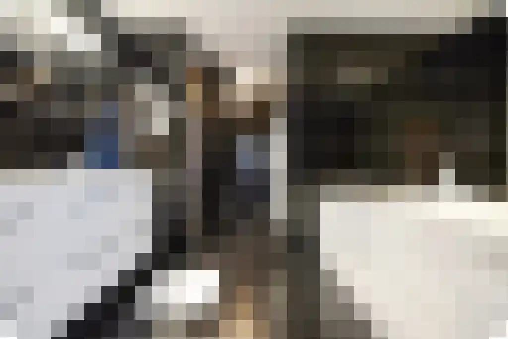 Leerbroekstraat 108 Zoetermeer thumbnail 43