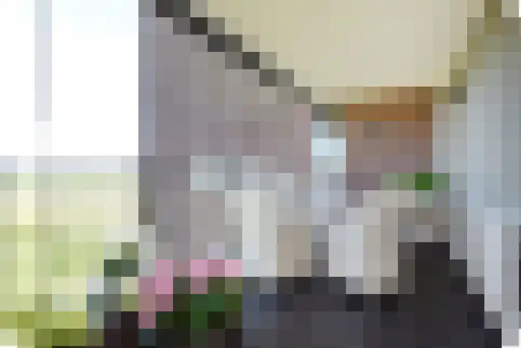 Leerbroekstraat 108 Zoetermeer thumbnail 5