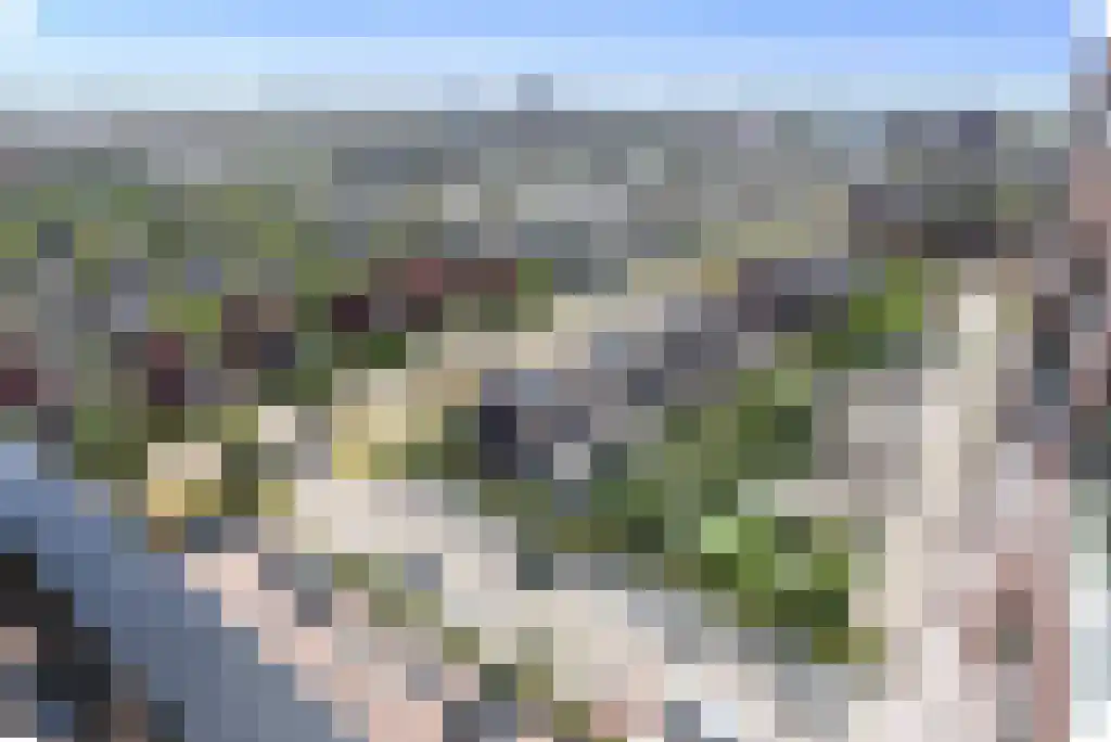 Leerbroekstraat 108 Zoetermeer thumbnail 54