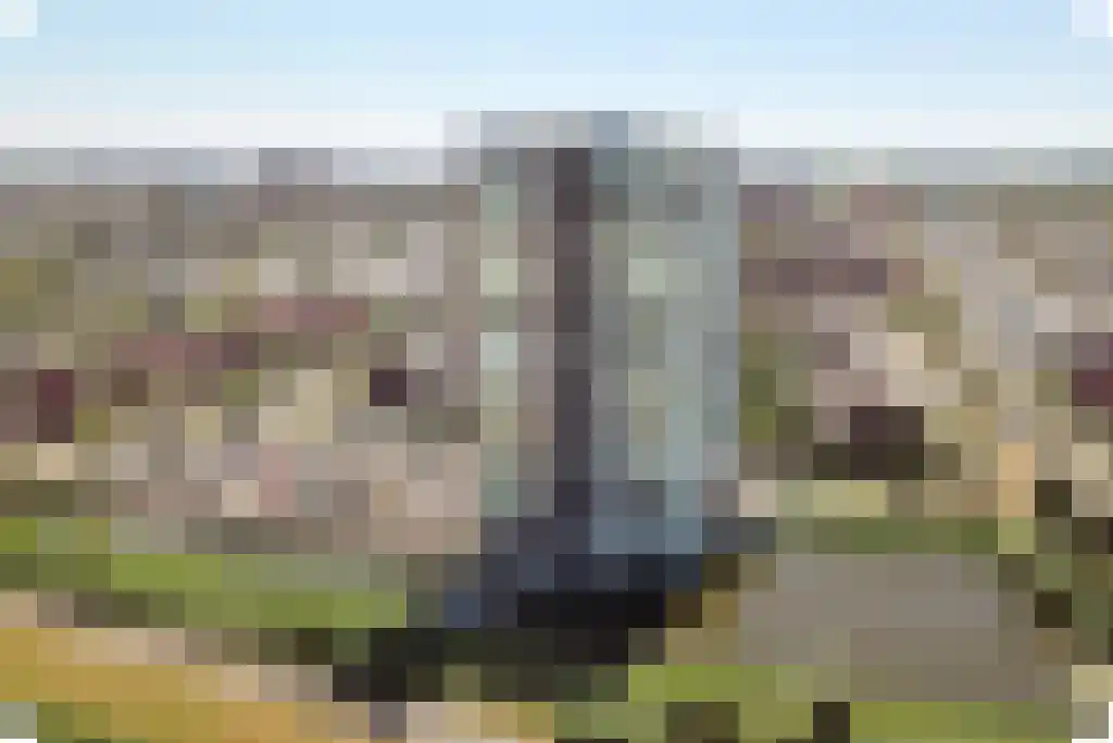 Leerbroekstraat 108 Zoetermeer thumbnail 61