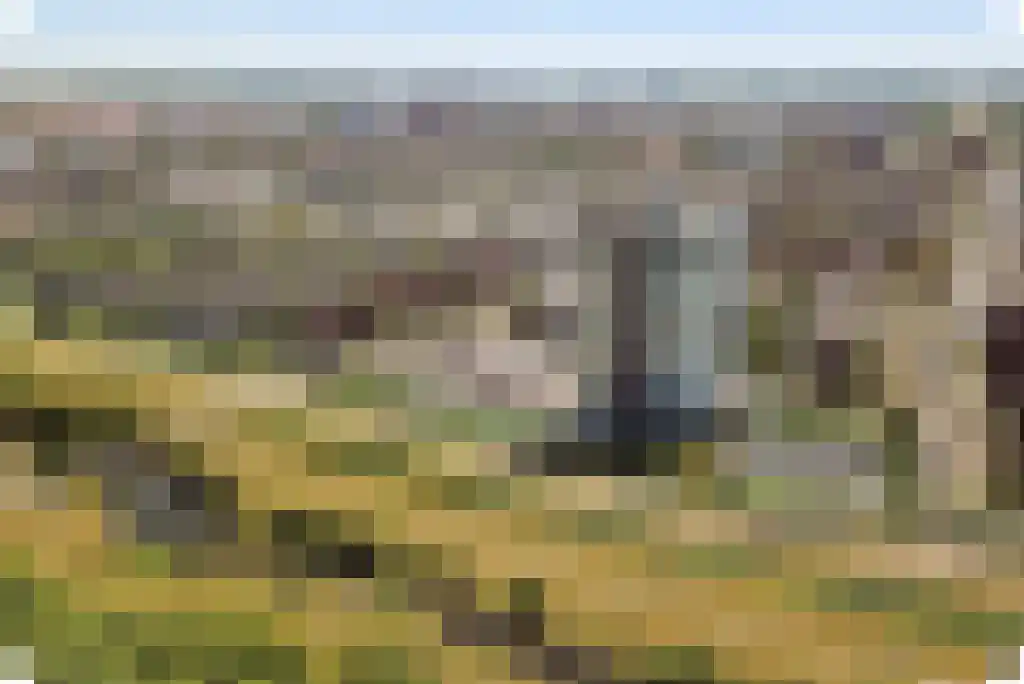 Leerbroekstraat 108 Zoetermeer thumbnail 62