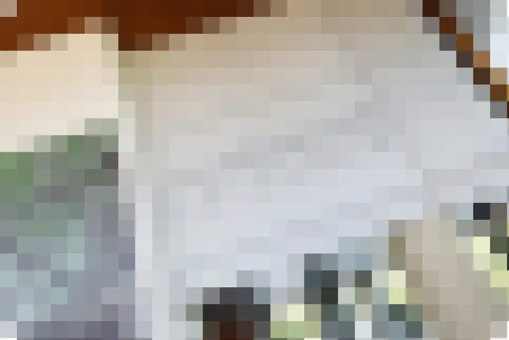 Leerbroekstraat 108 Zoetermeer thumbnail 8