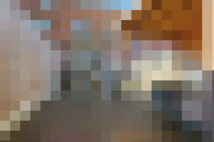 Leerbroekstraat 30 Zaandam thumbnail 12