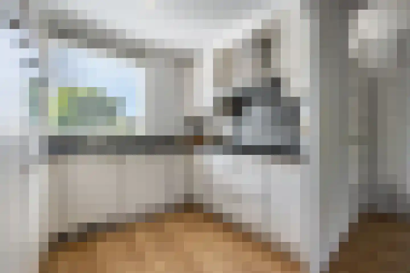 Leerbroekstraat 52 Zaandam thumbnail 8