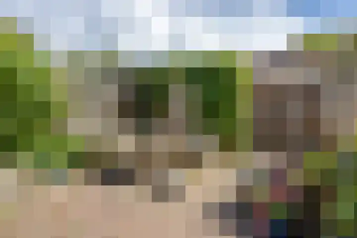 Leerbroekstraat 6 Zaandam thumbnail 10