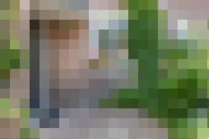 Leerbroekstraat 6 Zaandam thumbnail 24