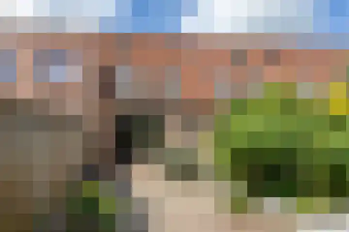 Leerbroekstraat 6 Zaandam thumbnail 8
