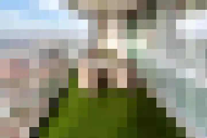 Leerbroekstraat 80 Zoetermeer thumbnail 16