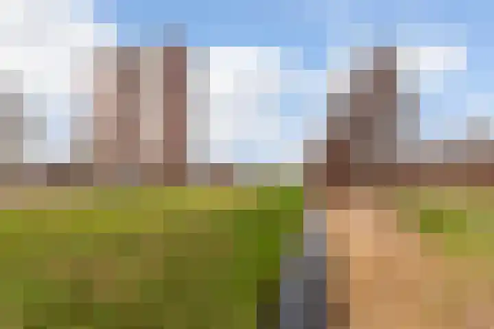 Leerbroekstraat 80 Zoetermeer thumbnail 37