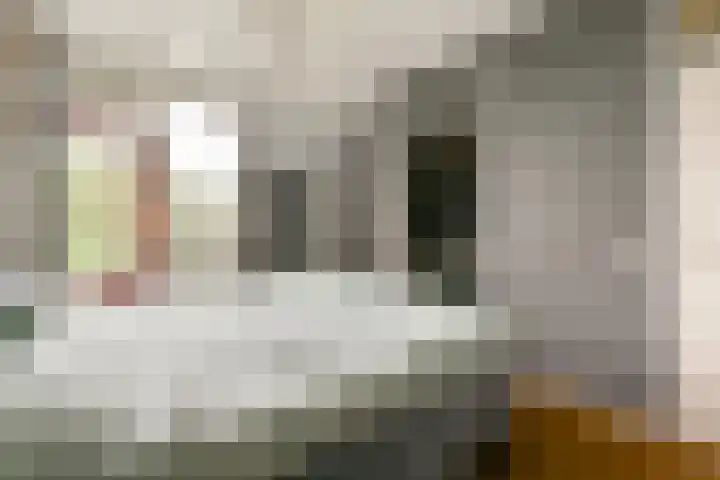 Leerdamhof 105 Amsterdam thumbnail 9