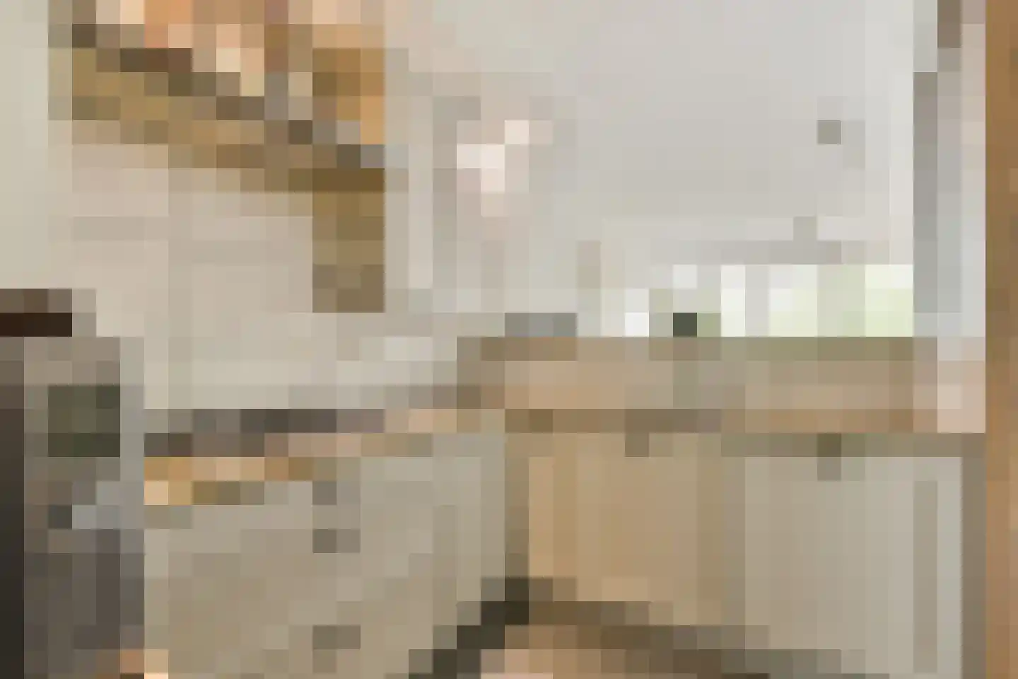 Leerdamhof 11 Amsterdam thumbnail 17