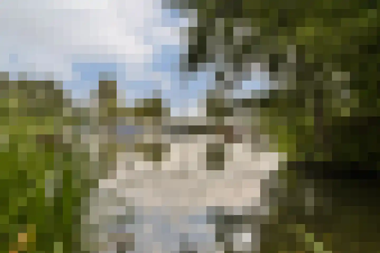 Leerdamhof 11 Amsterdam thumbnail 31