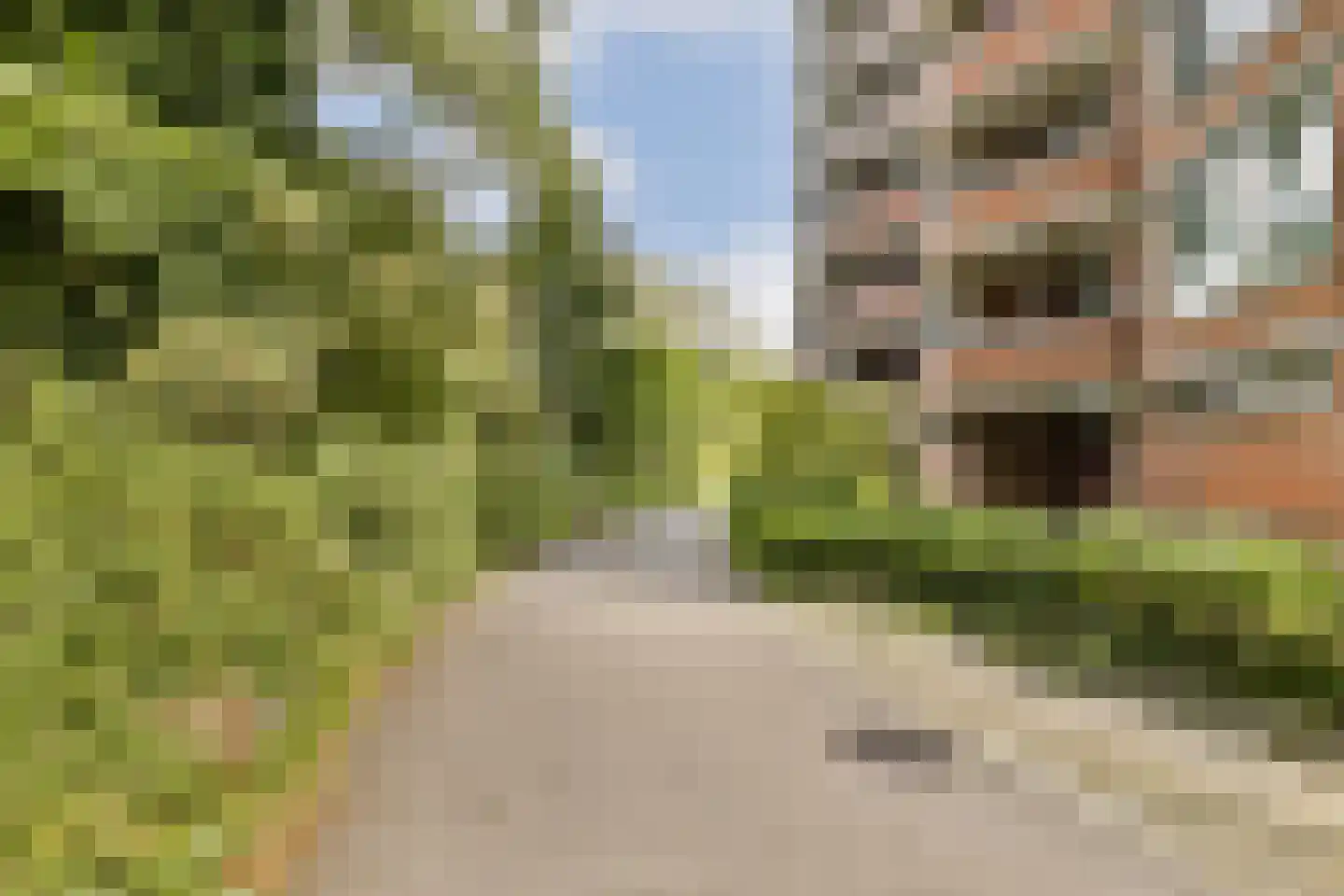 Leerdamhof 11 Amsterdam thumbnail 5
