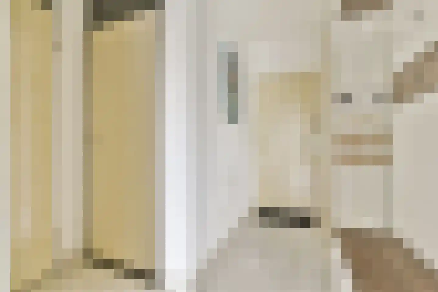 Leerdamhof 11 Amsterdam thumbnail 9
