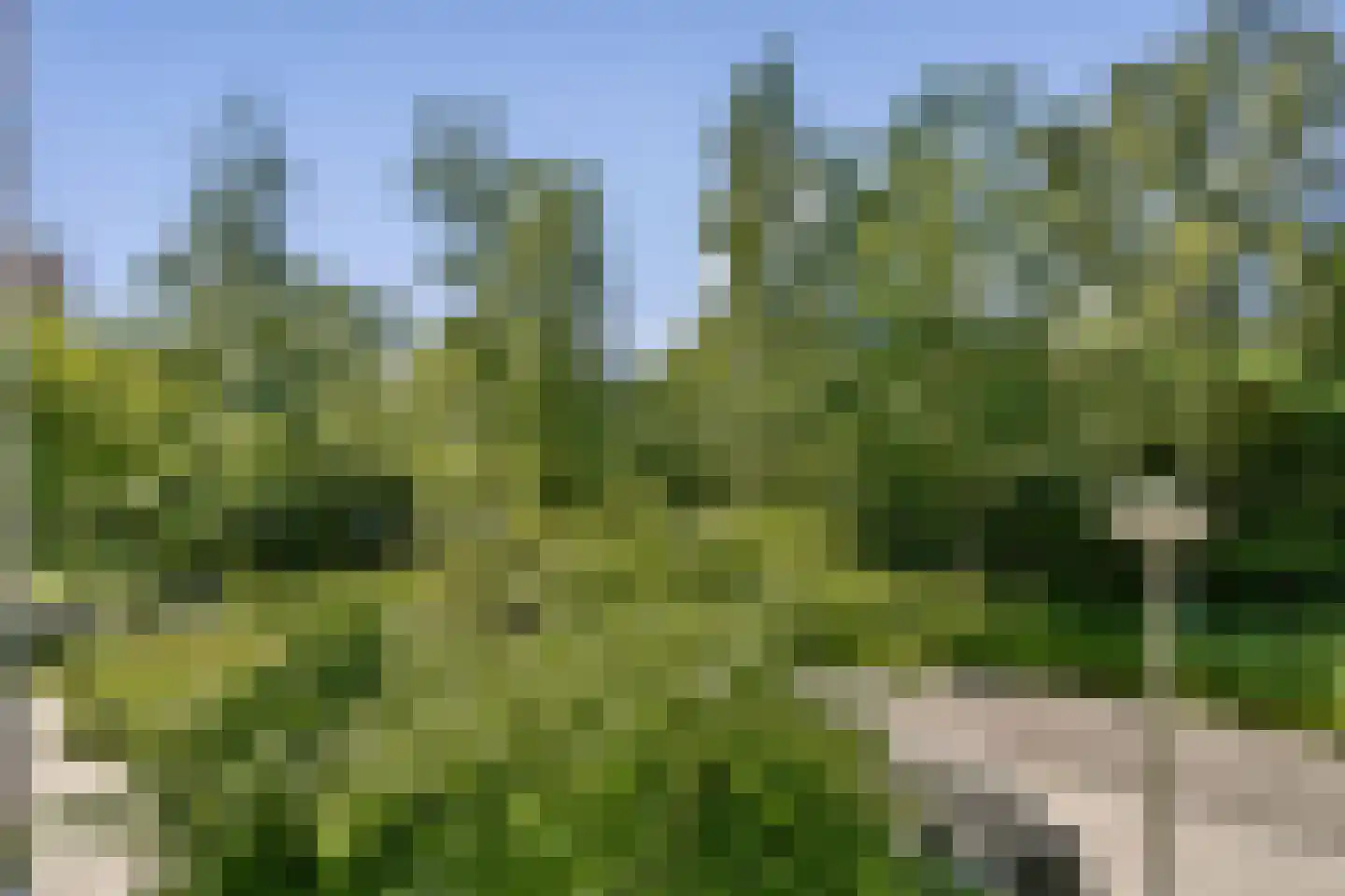 Leerdamhof 149 Amsterdam thumbnail 13