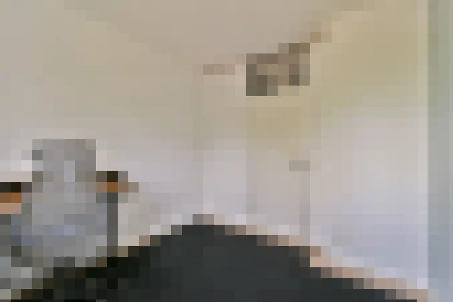 Leerdamhof 149 Amsterdam thumbnail 21