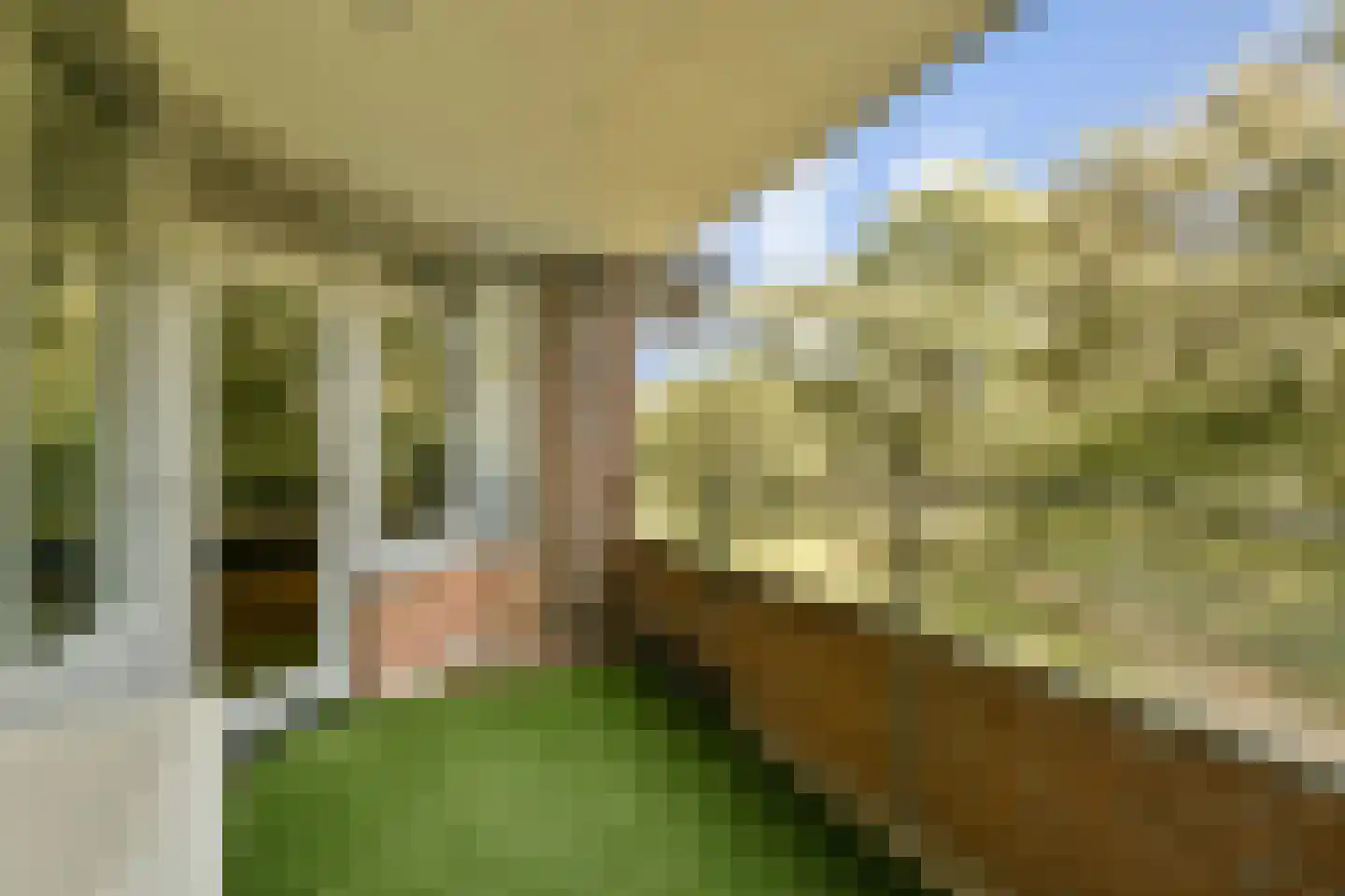 Leerdamhof 149 Amsterdam thumbnail 5