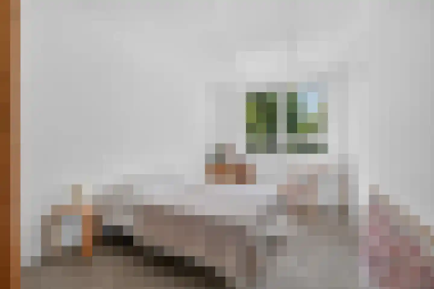 Leerdamhof 150 Amsterdam thumbnail 18