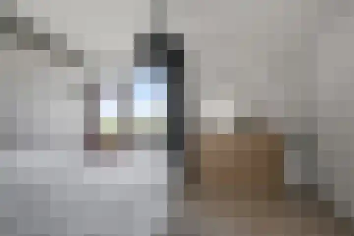 Leerdamhof 167 Amsterdam thumbnail 15