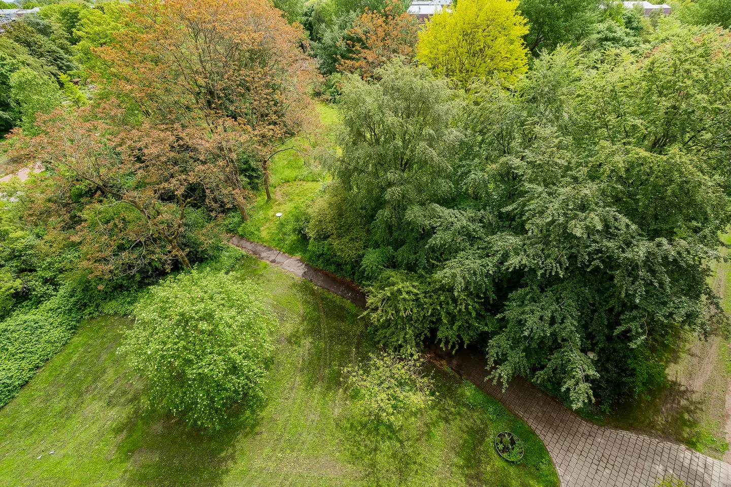Leerdamhof 168 Amsterdam thumbnail 14