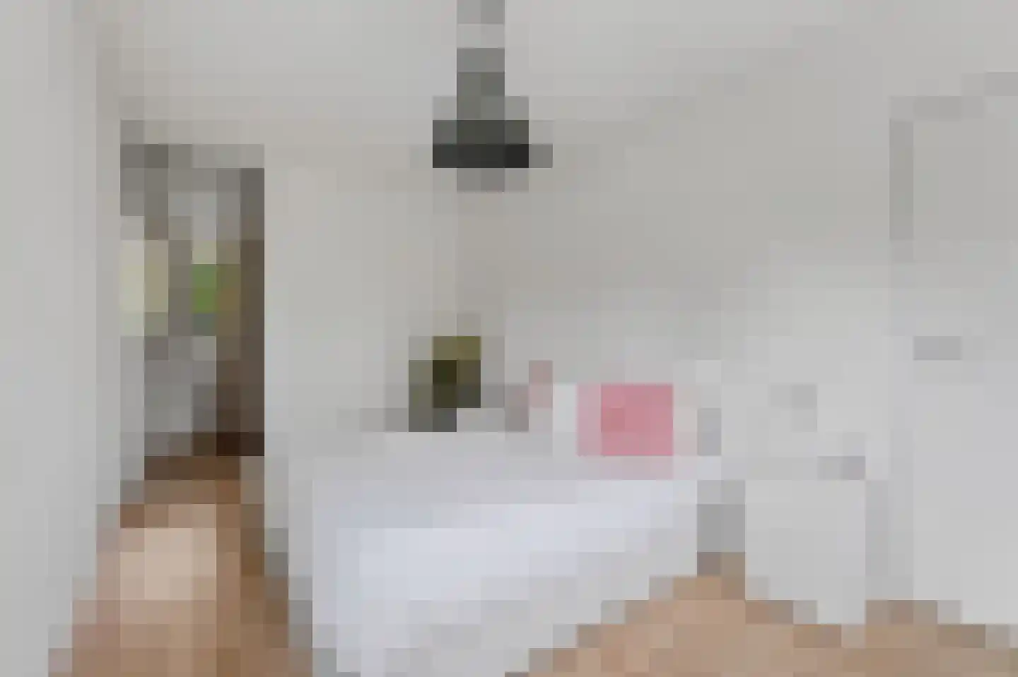Leerdamhof 177 Amsterdam thumbnail 17