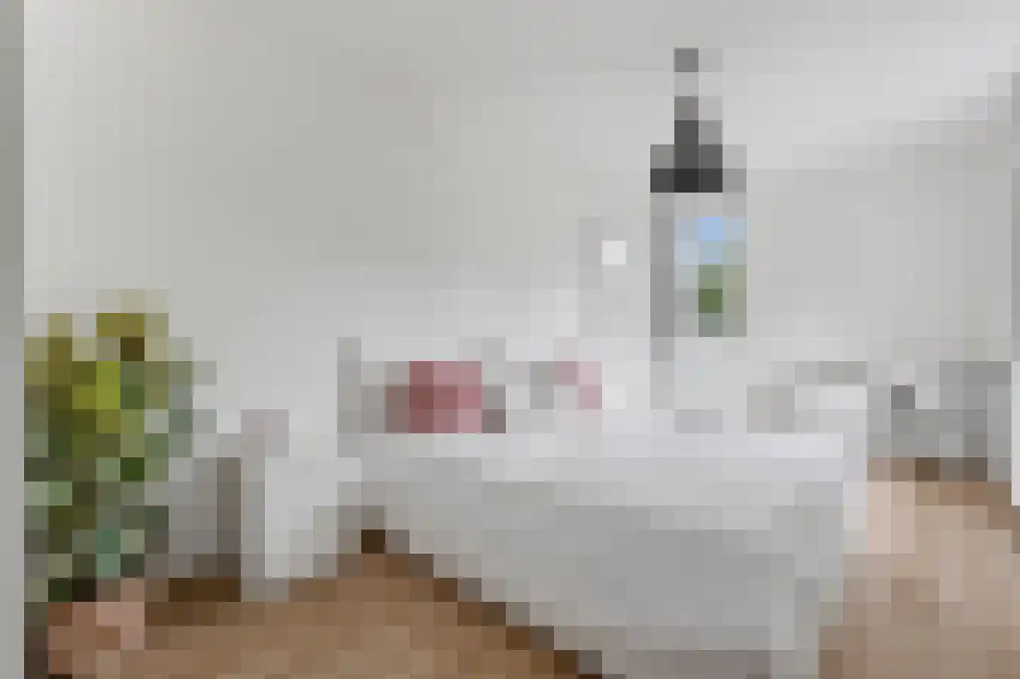 Leerdamhof 177 Amsterdam thumbnail 18