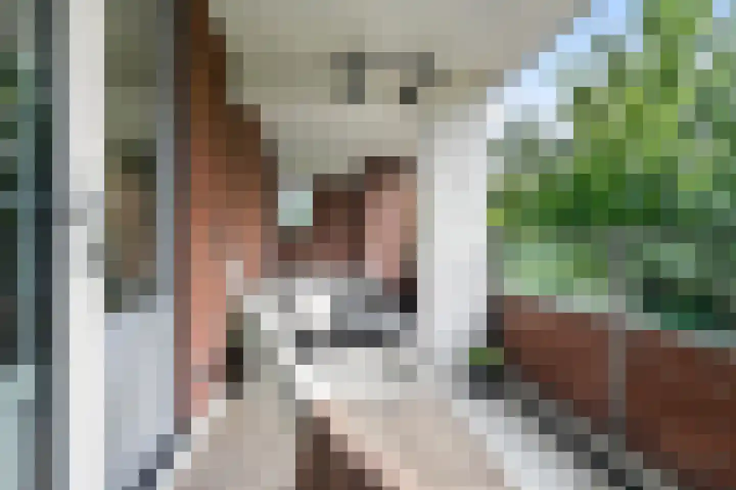 Leerdamhof 177 Amsterdam thumbnail 28