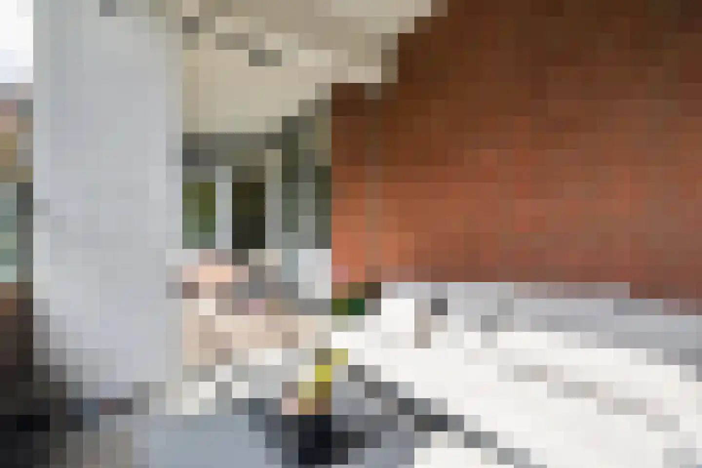 Leerdamhof 177 Amsterdam thumbnail 31
