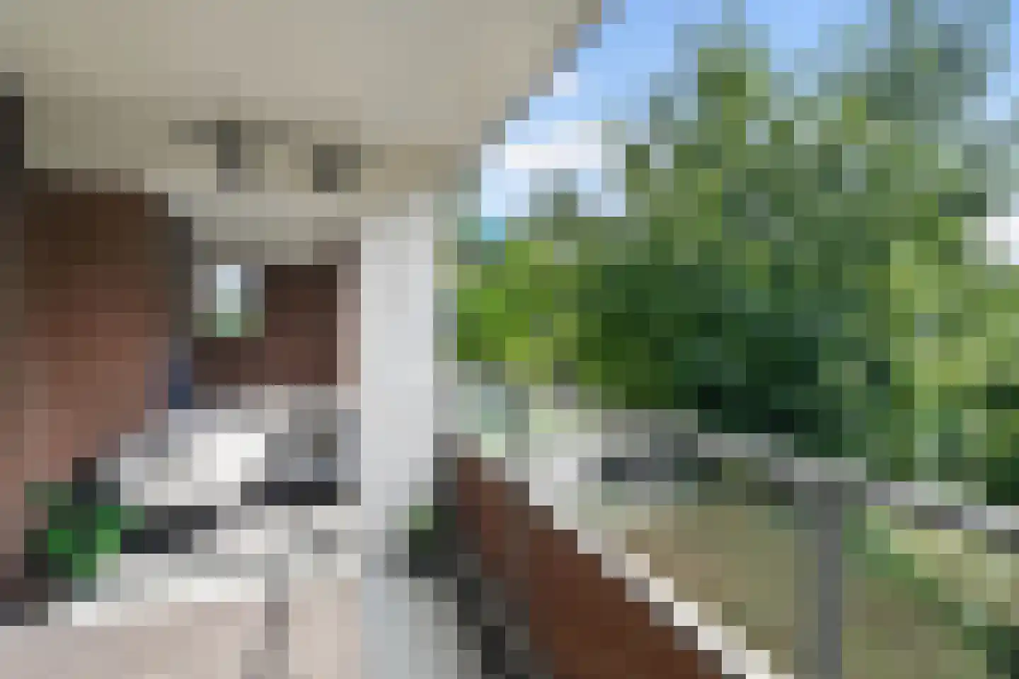 Leerdamhof 177 Amsterdam thumbnail 32