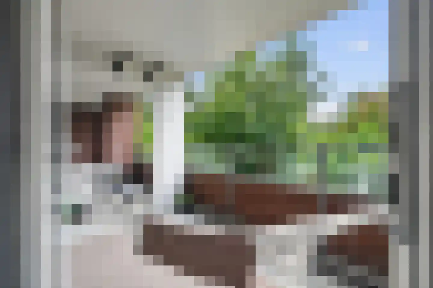 Leerdamhof 177 Amsterdam thumbnail 5