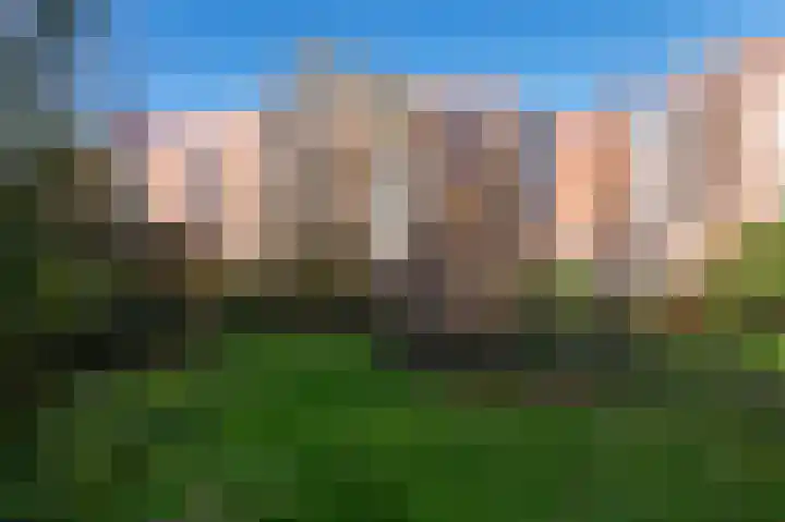 Leerdamhof 244 Amsterdam thumbnail 5