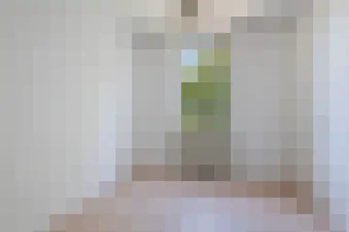 Leerdamhof 245 Amsterdam thumbnail 13