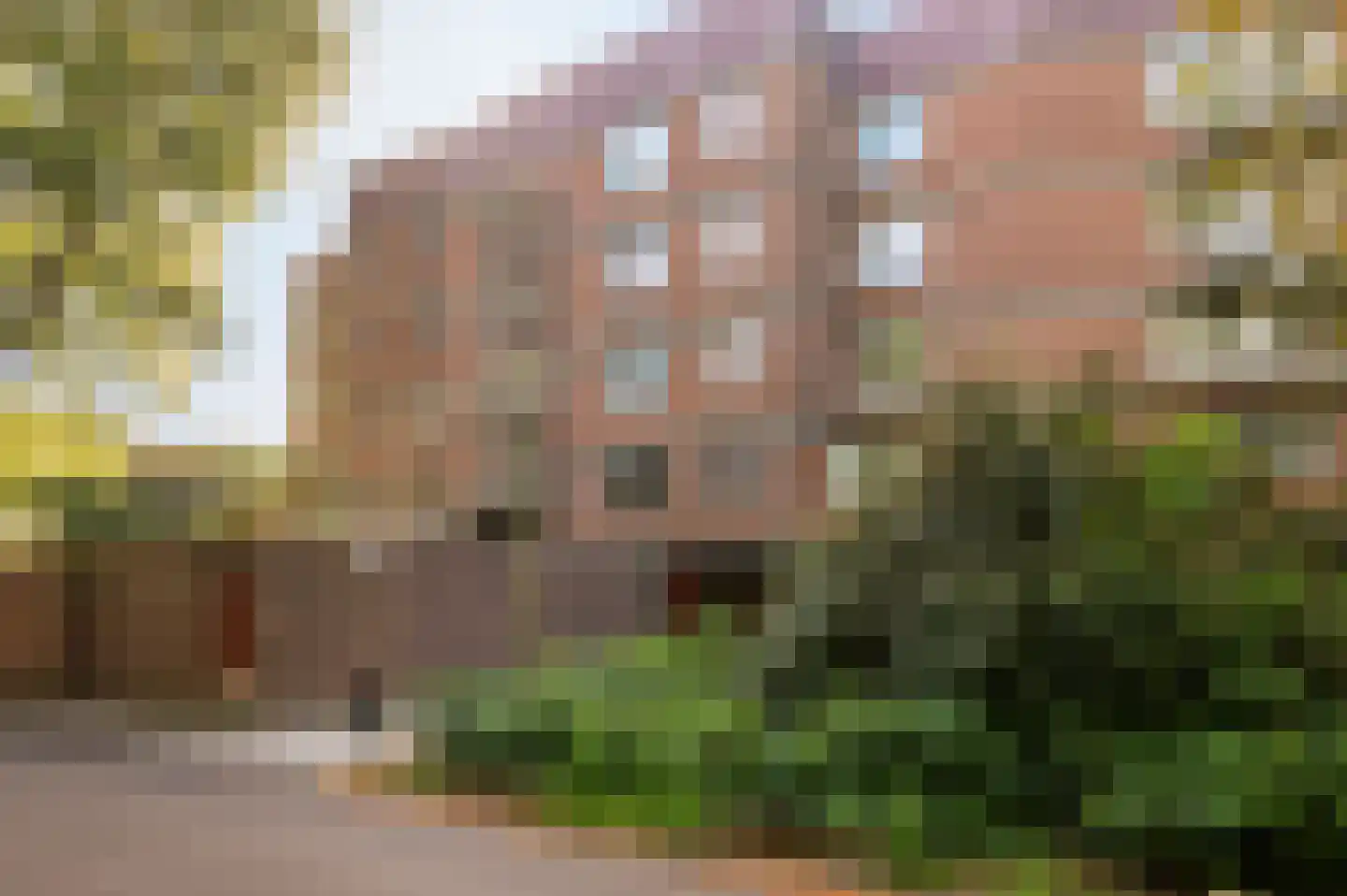 Leerdamhof 254 Amsterdam thumbnail 13