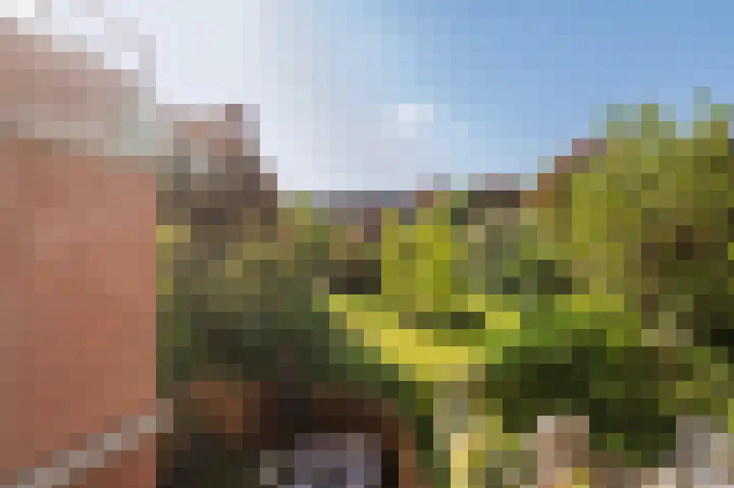 Leerdamhof 254 Amsterdam thumbnail 16
