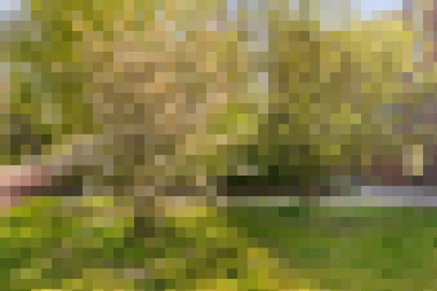 Leerdamhof 254 Amsterdam thumbnail 20