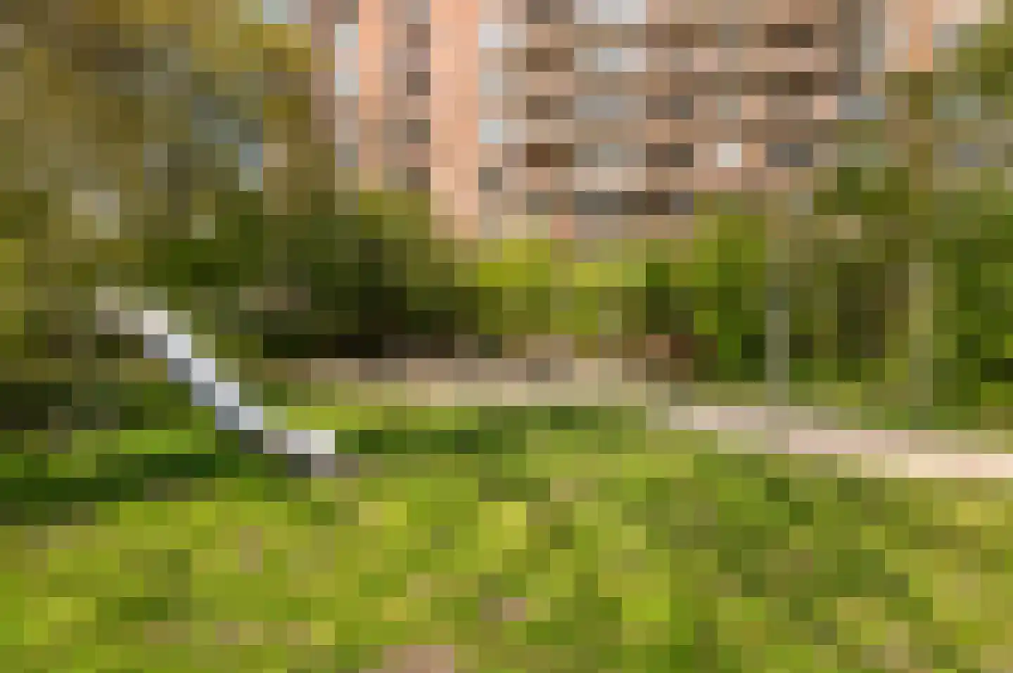 Leerdamhof 254 Amsterdam thumbnail 21