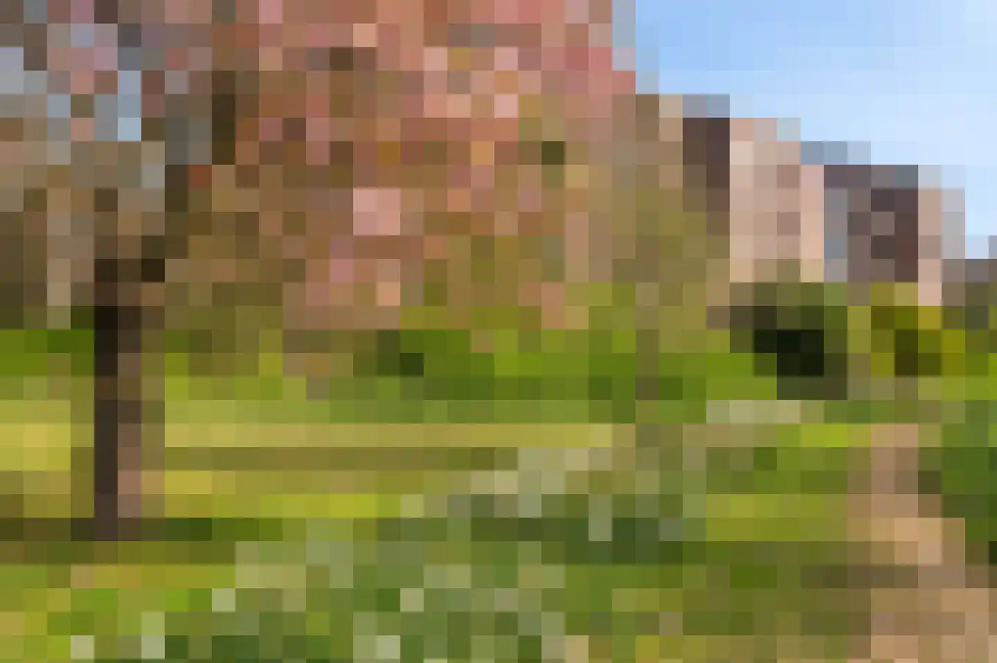 Leerdamhof 254 Amsterdam thumbnail 25