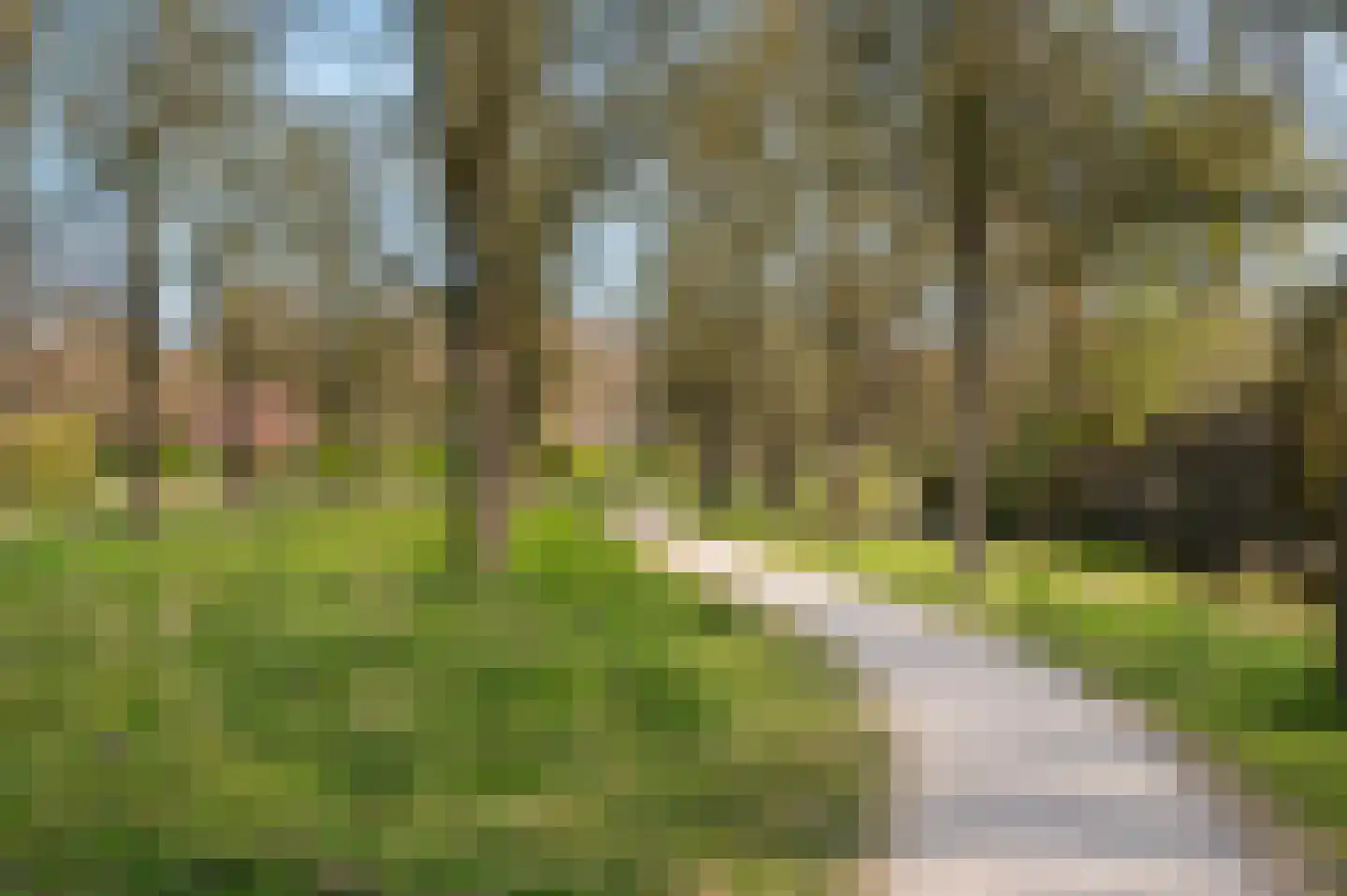 Leerdamhof 254 Amsterdam thumbnail 29