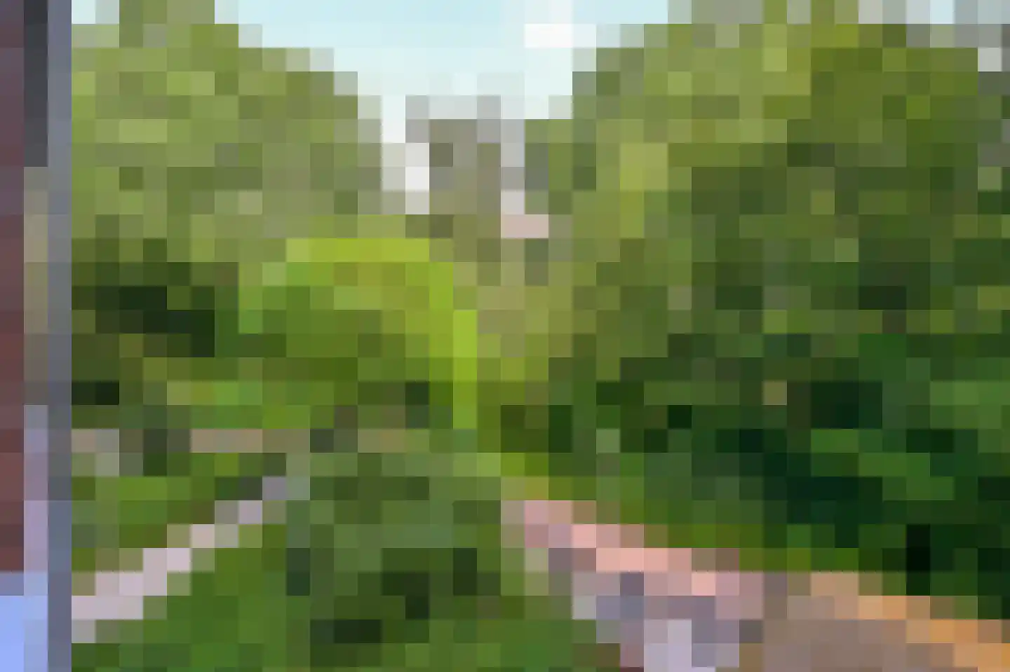 Leerdamhof 257 Amsterdam thumbnail 26
