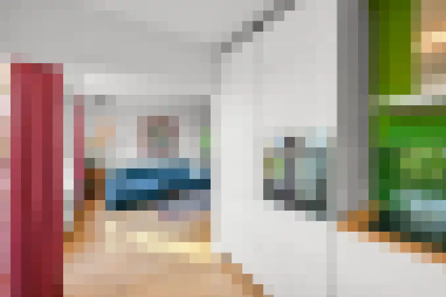 Leerdamhof 257 Amsterdam thumbnail 6