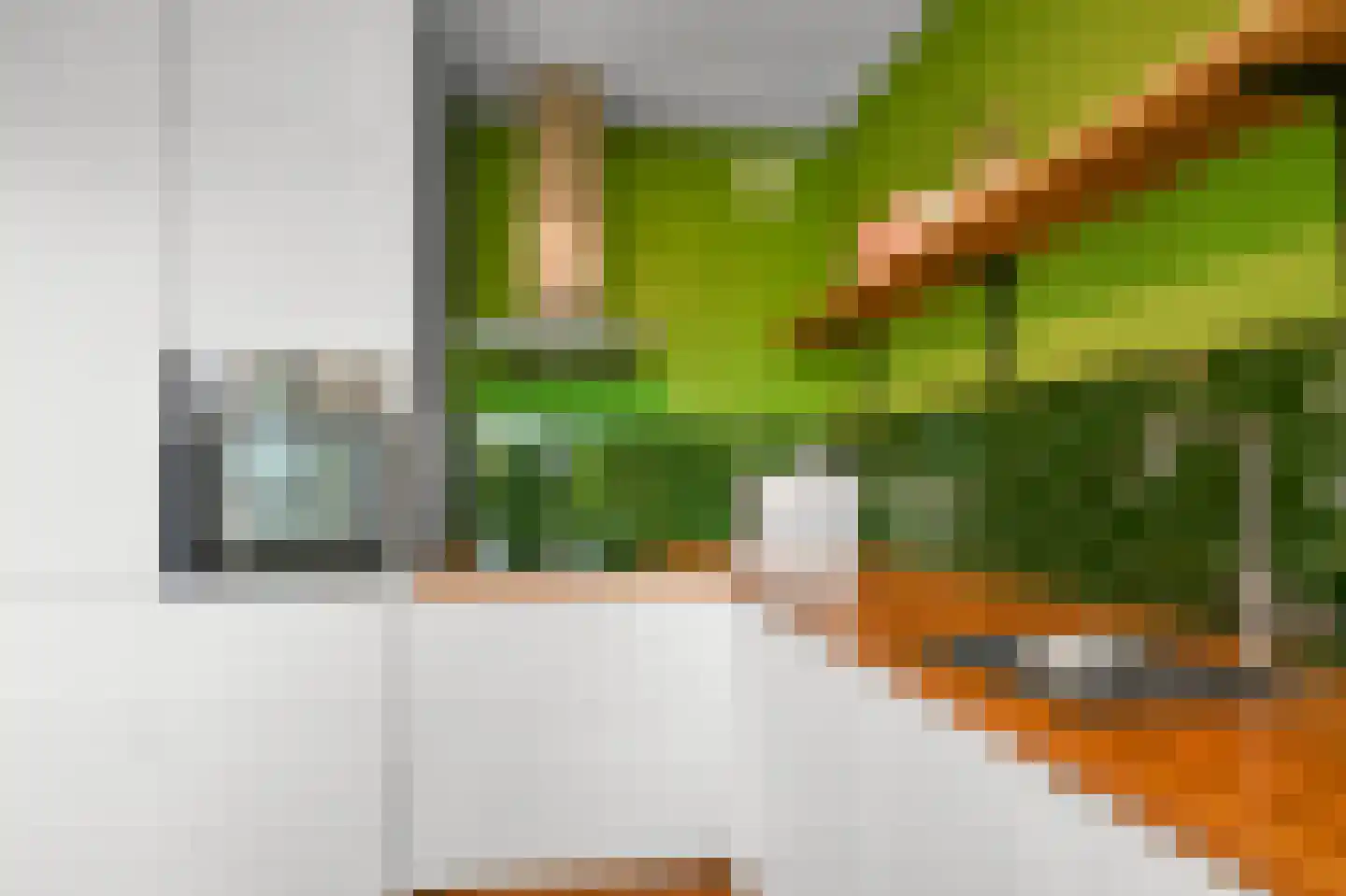 Leerdamhof 257 Amsterdam thumbnail 7