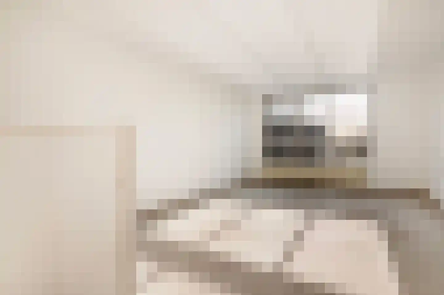 Leerdamhof 281 Amsterdam thumbnail 4