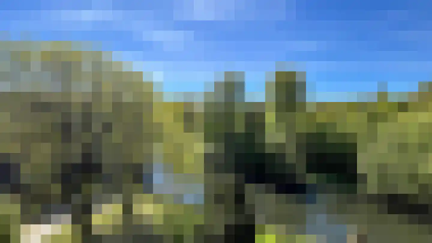 Leerdamhof 282 Amsterdam thumbnail 33
