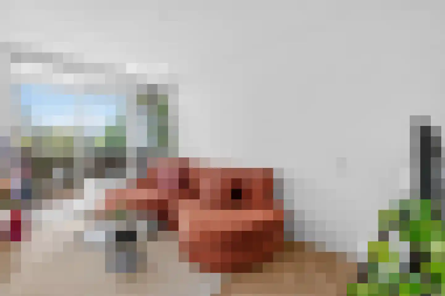Leerdamhof 282 Amsterdam thumbnail 5
