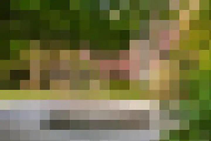 Leerdamhof 295 Amsterdam thumbnail 21